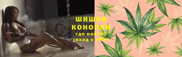 шишки Арсеньев