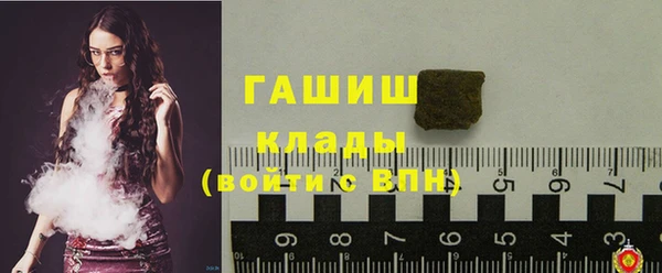 шишки Арсеньев