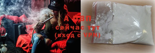 шишки Арсеньев