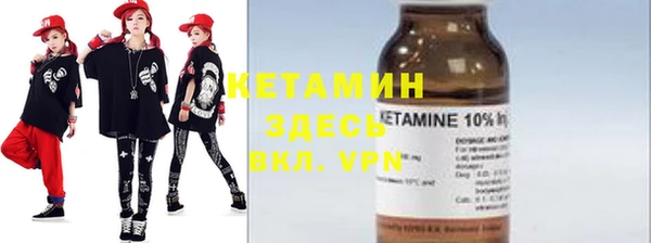 шишки Арсеньев