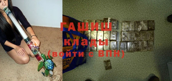 шишки Арсеньев