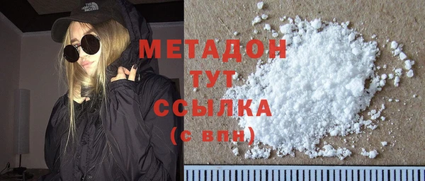 шишки Арсеньев