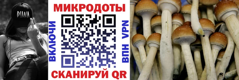 сколько стоит  это состав  Псилоцибиновые грибы MAGIC MUSHROOMS  Пыталово 